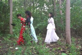 定制女神捕之千金蒙冤案（第三集）