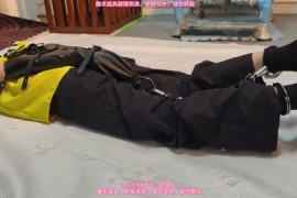 小月后手套，脚镣，驷马放置，简单剧情