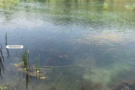 野外树林河边捆绑 上面下面塞了什么自行脑补