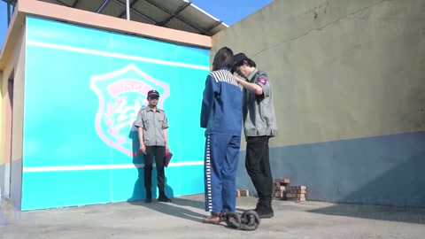 伏罪三谍 第1张