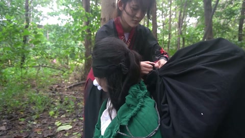 定制女神捕之千金蒙冤案（第一集） 第1张