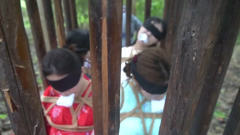 定制女神捕之千金蒙冤案（第四集） 第1张