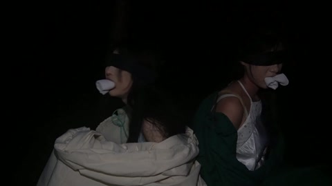 定制女神捕之白莲教（第四集）完结篇 第1张