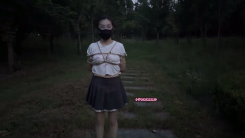 一次户外公园的捆绑 全程玩具 几近崩溃 第2张