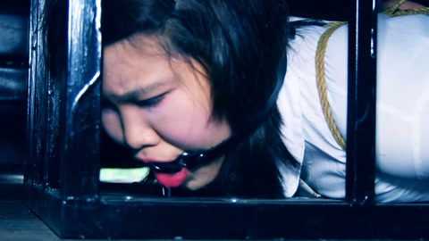 两女仆驷马团缚 第2张
