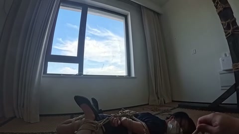 嗷嗷调教互动【空乘制服】【撕丝袜】【第一人称】【震动棒】【跳蛋】航空空姐为反馈客户投诉亲自上门挨捆，... 第2张