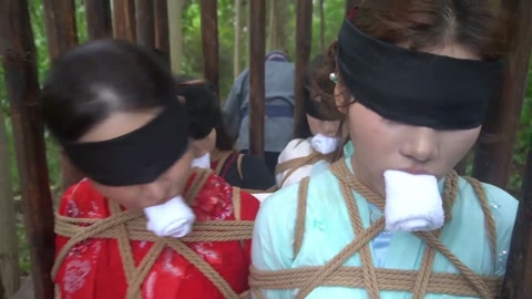 定制女神捕之千金蒙冤案（第四集） 第2张