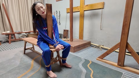 木马审讯佳佳 第2张