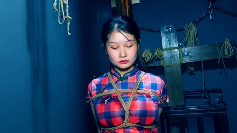 潜伏的蝴蝶（上集） 地下交通员不慎被捕潜伏军统的卧底营救失败一同被捕惨遭刑讯逼问 第2张