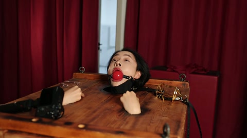 美女的嘴巴 “捕获一美女，关进木箱枷住脖子，露出头部，然后上道具 观赏。主要用了三种嘴巴刑具，强制喂... 第2张