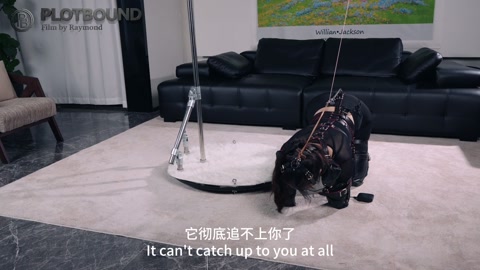自动电击遛狗装置（全套狗狗套装电击马具口塞G钩长时间训练） 第2张