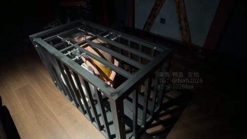 芭蕾母狗的救赎（三）采访 限时逃脱 人彘舔脚深喉 分腿炮机强高 第2张