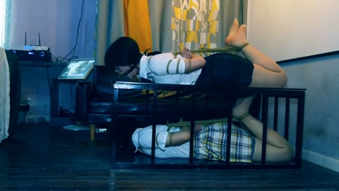 两女仆驷马团缚 第3张