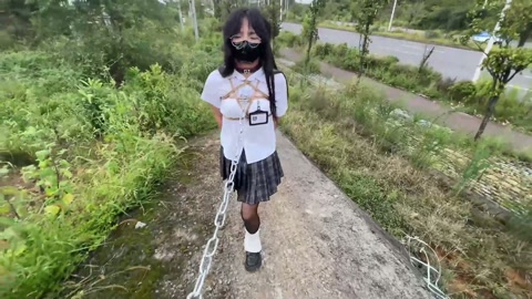 小叶林间奇遇记（上） 第3张