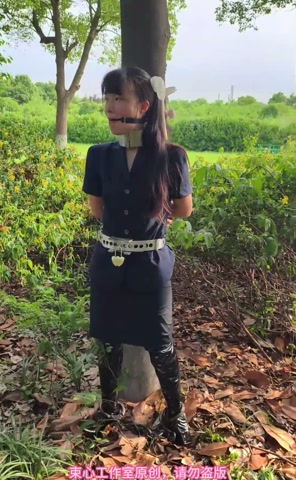 星尘职业套裙，金属脖腰手固定，马具口球，脚镣，游乐场小树林行走 第3张
