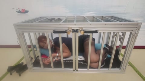 自我拘禁 第3张