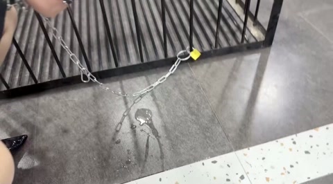 别妄想逃脱1 第4张