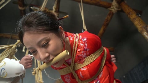 定制女神捕之千金蒙冤案（第一集） 第4张