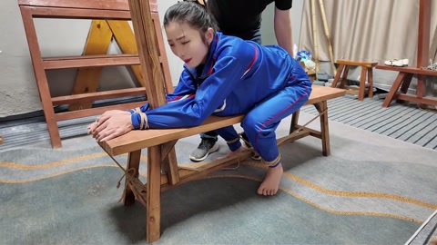 木马审讯佳佳 第4张