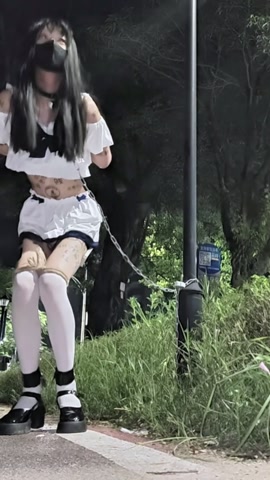 全身是脏字的小男娘户外路灯手铐定时自缚电击放置 第5张