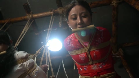 定制女神捕之千金蒙冤案（第一集） 第5张
