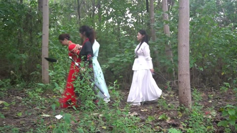 定制女神捕之千金蒙冤案（第三集） 第5张