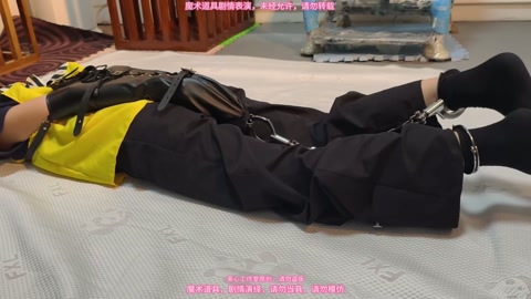 小月后手套，脚镣，驷马放置，简单剧情 第5张