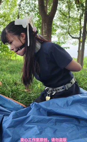 星尘职业套裙，金属脖腰手固定，马具口球，脚镣，游乐场小树林行走 第5张