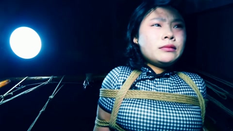 潜伏的蝴蝶（下集） 卧底打晕女特务逃跑未遂被女特务驷马吊缚在空中折磨后被押赴刑场英勇就义 第5张