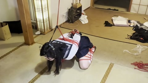 超能双子二：姐妹相争终究自取灭亡 第5张