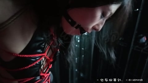 龟甲＋直臂紧缚 K9 第5张
