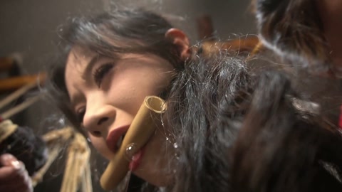 定制女神捕之千金蒙冤案（第一集） 第6张