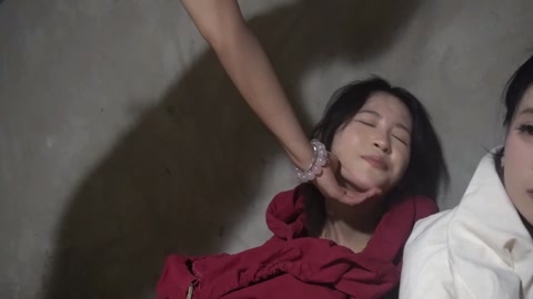 定制女神捕之千金蒙冤案（第五集）完结篇 第6张