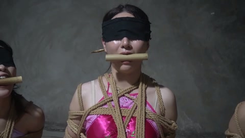 定制女神捕之千金蒙冤案（第四集） 第6张