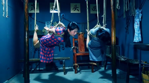 潜伏的蝴蝶（下集） 卧底打晕女特务逃跑未遂被女特务驷马吊缚在空中折磨后被押赴刑场英勇就义 第6张