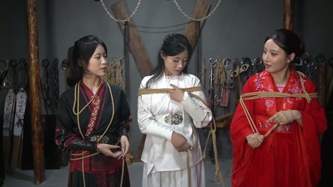 定制女神捕之千金蒙冤案（第一集） 第7张