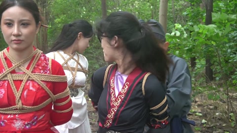 定制女神捕之千金蒙冤案（第三集） 第7张