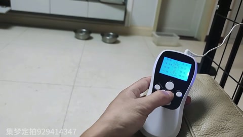 定拍租房绑架 第7张