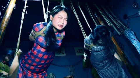 潜伏的蝴蝶（下集） 卧底打晕女特务逃跑未遂被女特务驷马吊缚在空中折磨后被押赴刑场英勇就义 第7张