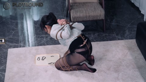 女高管的秘密兼职3 指定那个很像我领导的模特定拍一个很折磨的任务 第8张