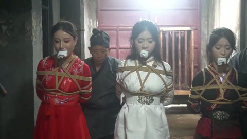 定制女神捕之千金蒙冤案（第一集） 第8张