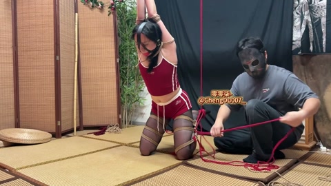 宝妈黑丝马具型大口球吊缚玩弄 第8张