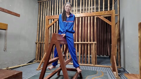 木马审讯佳佳 第8张