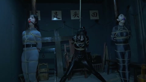 特工历险记（上集）三名女特工潜伏匪徒基地收集证据不料被匪徒抓获在地牢遭受折磨 第8张