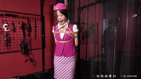 空姐训服记 （堵嘴＋tk） 第8张