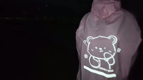 雨天户外全身捆绑去公园散步 第8张