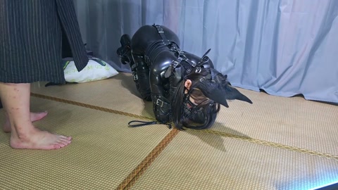 三叶地蕾胶衣 第9张