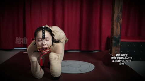 人儿犬 美人俯身为犬，被束缚四肢 不能站立只能爬行 嘴巴鼻子都被禁锢 甚至不能做出任何表情 口水直流... 第9张