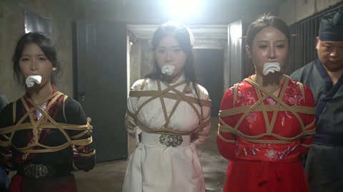 定制女神捕之千金蒙冤案（第一集） 第9张