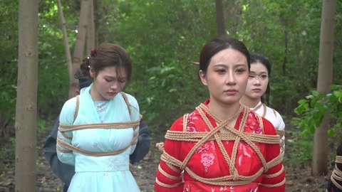 定制女神捕之千金蒙冤案（第三集） 第9张